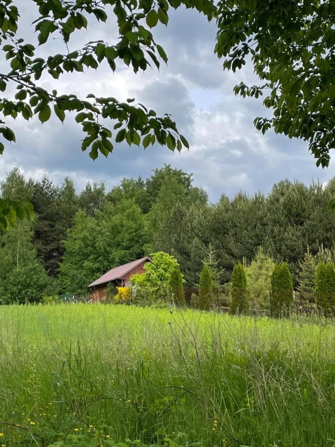 Wittowka - Domek Na Wylacznosc Z Dala Od Sasiadow Tomaszów Lubelski Εξωτερικό φωτογραφία